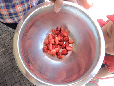 H290508_a.JPG