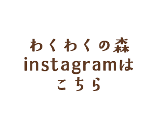 instagramはこちら
